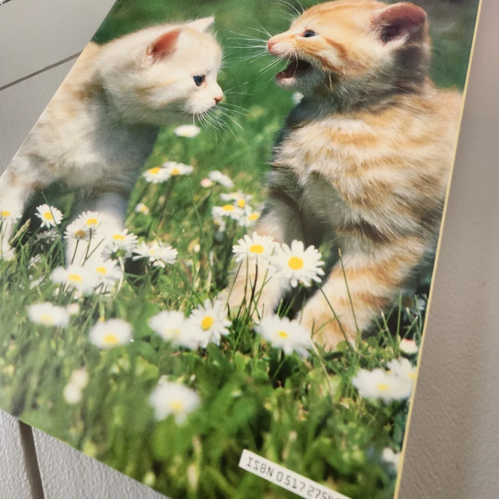 Kittens Book Cover Featuring White Kitten with Yellow Flowers